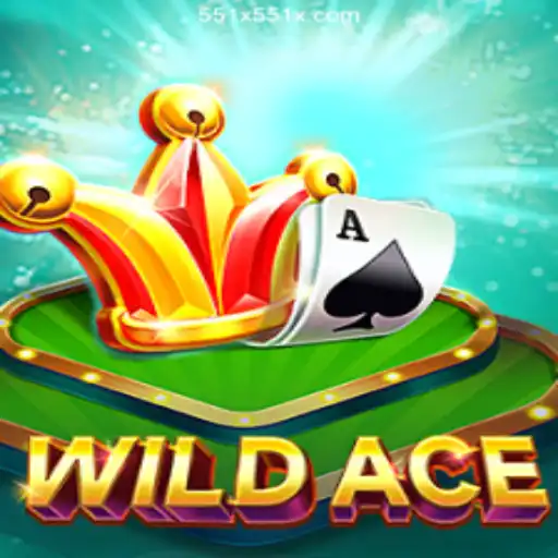 Discover the Thrills of WildAce: A Casino Adventure